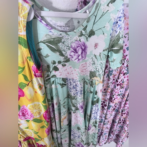 Posh Peanut Bundle 5-7t Patterned Dresses Collection 5 dresses - Picture 4 of 6